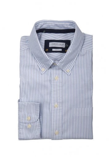 Indigo Bow 32 men slim fit