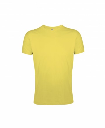 00553 Sol's Regent Fit