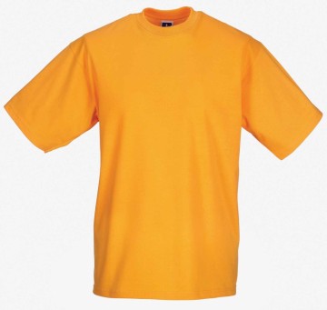 Russell Classic T-Shirt puur goud