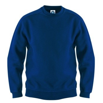 SW298 Starworld Best Value sweater