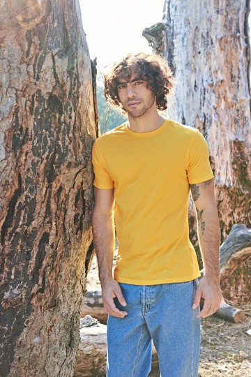EA001 AWDis Cascades Organic Tee