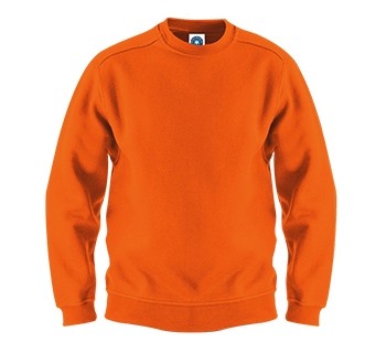 SW298 Starworld Best Value sweater