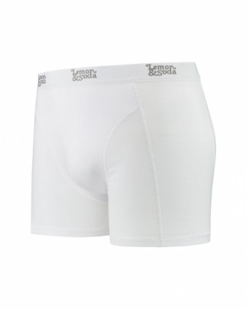 L&S Heren boxer
