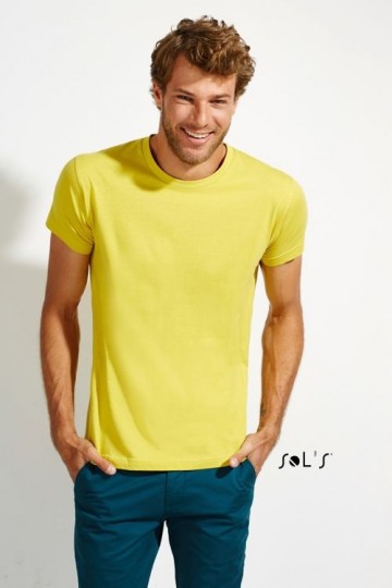 00553 Sol's Regent Fit