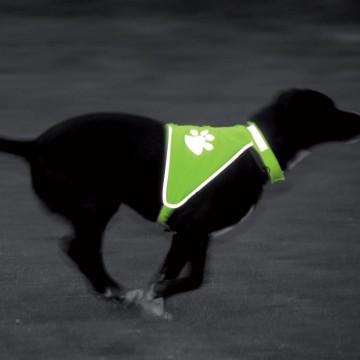 M110431 MBW Dog Safety Vest