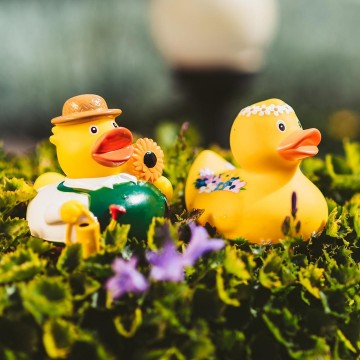 M131119 MBW Schnabels® Squeaky Duck Gardener