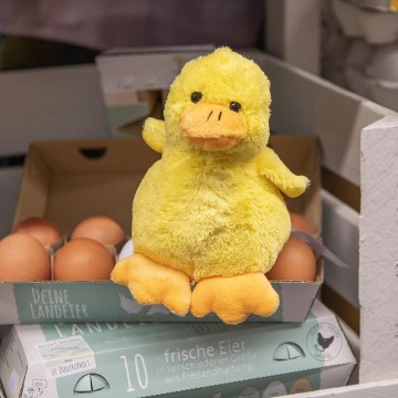 M160020 MBW MiniFeet® Kuiken Neli