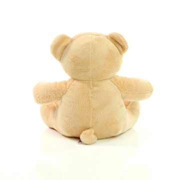 M160067 MBW MiniFeet® Bear Siggi back