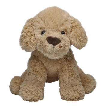 M160226 MBW MiniFeet® Hond Nico