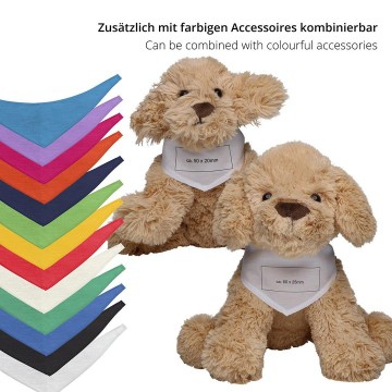 M160226 MBW MiniFeet® Hond Nico