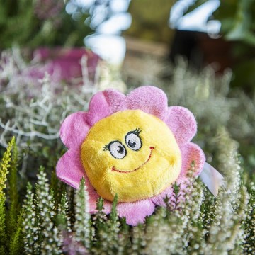 M160799 MBW Schmoozies® Bloem