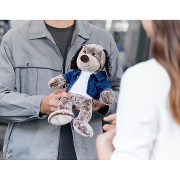 M160814 MBW MiniFeet® Hond Constantijn