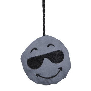 M161030 MBW Reflecterende Cool gezicht