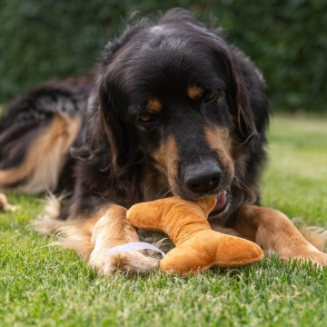 M170009 MiniFeet® Dog Toy Bone With Crackle Function