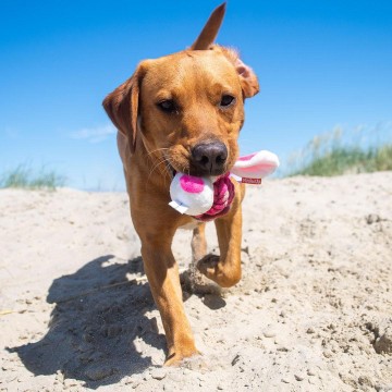 M170021 MBW MiniFeet® Dog Toy Knotted Animal Rabbit